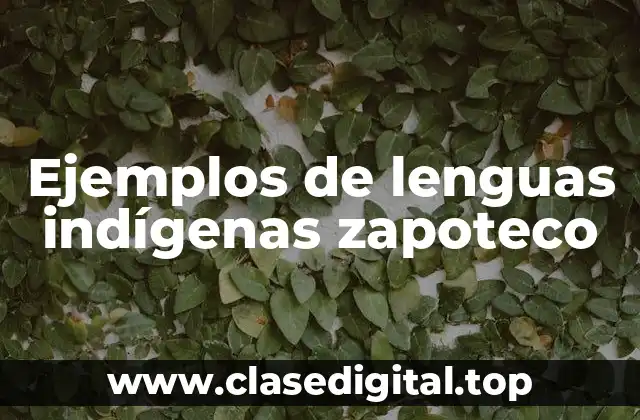 Ejemplos de lenguas indígenas zapoteco