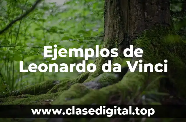 Ejemplos de Leonardo da Vinci