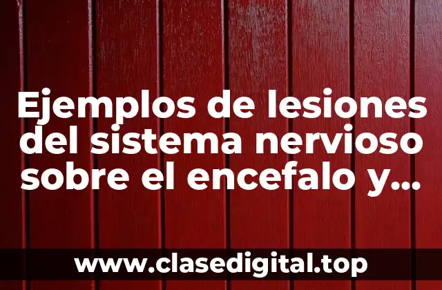 Ejemplos de lesiones del sistema nervioso sobre el encefalo y Significado