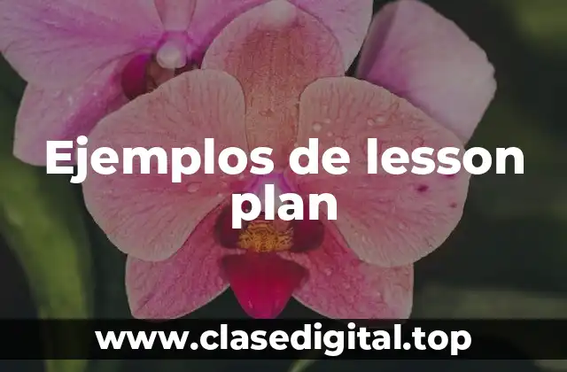 Ejemplos de lesson plan