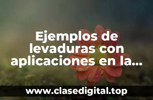 Ejemplos de levaduras con aplicaciones en la industria ambiental y Significado
