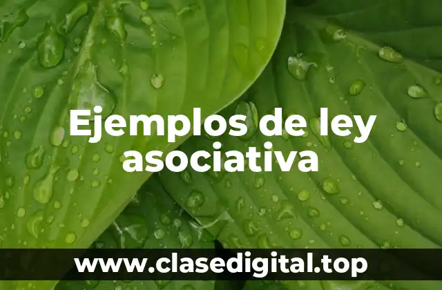 Ejemplos de ley asociativa