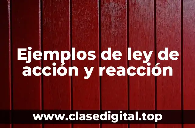 Ejemplos de ley de acción y reacción