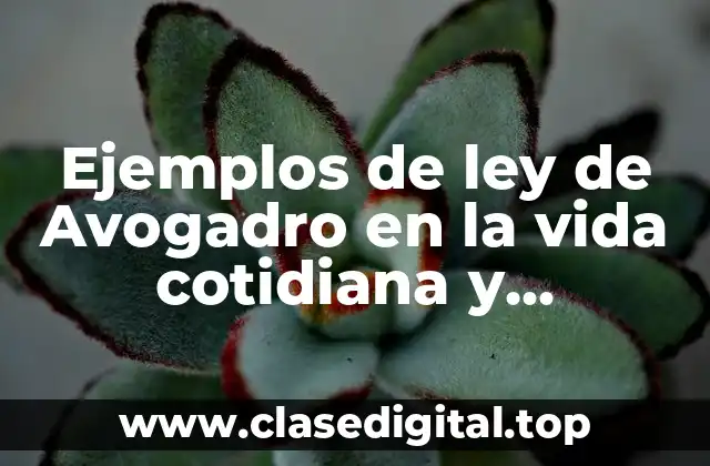 Ejemplos de ley de Avogadro en la vida cotidiana y Significado