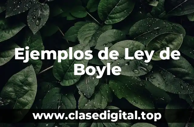Ejemplos de Ley de Boyle
