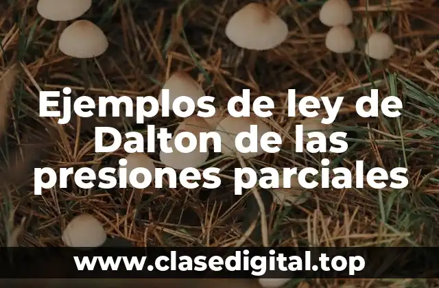 Ejemplos de ley de Dalton de las presiones parciales