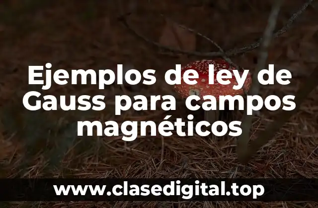 Ejemplos de la ley de Gauss para campos magnéticos