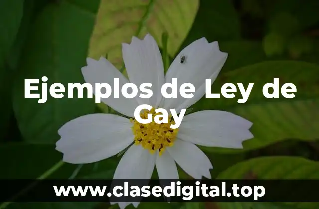 Ejemplos de Ley de Gay