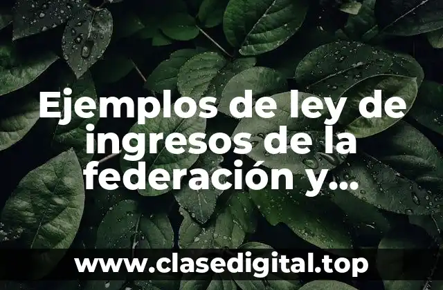 Ejemplos de ley de ingresos de la federación y Significado