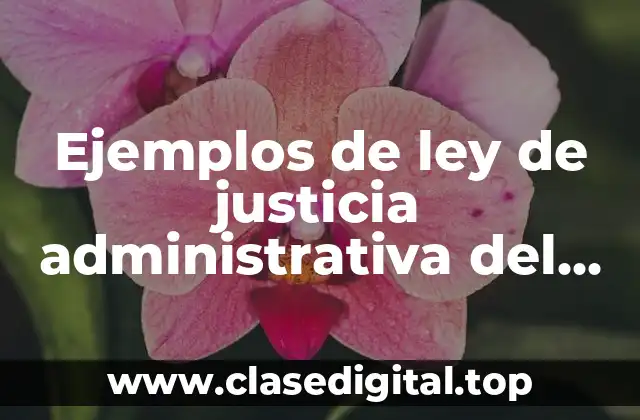 Ejemplos de ley de justicia administrativa del estado de Jalisco y Significado