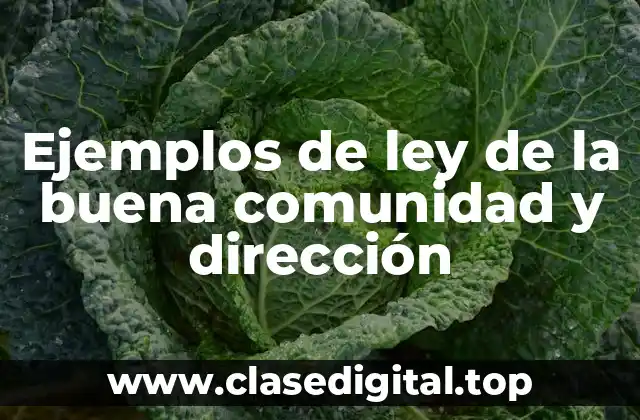 Ejemplos de ley de la buena comunidad y dirección