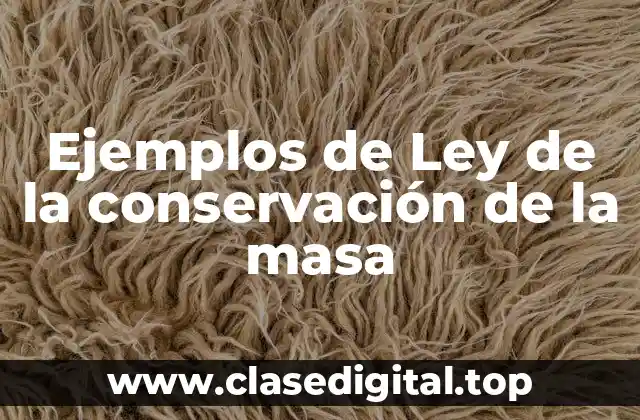 Ejemplos de Ley de la conservación de la masa