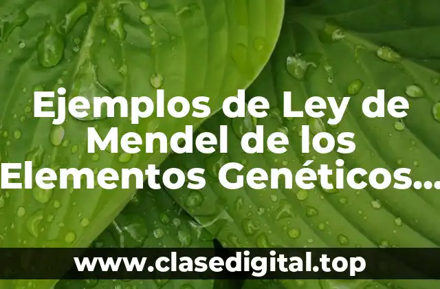 Ejemplos de Ley de Mendel de los Elementos Genéticos y Significado