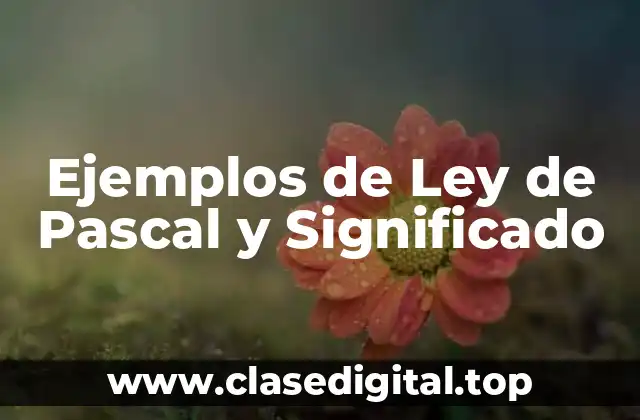 Ejemplos de Ley de Pascal y Significado