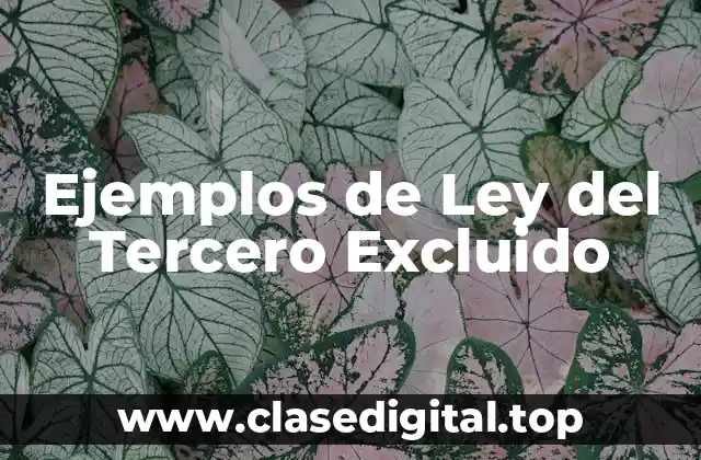 Ejemplos de la Ley del Tercero Excluido