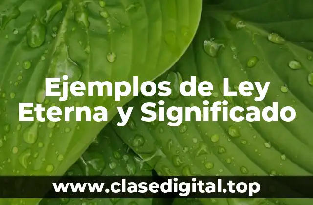 Ejemplos de Ley Eterna y Significado