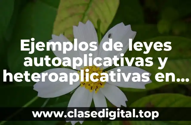 Ejemplos de leyes autoaplicativas y heteroaplicativas en México