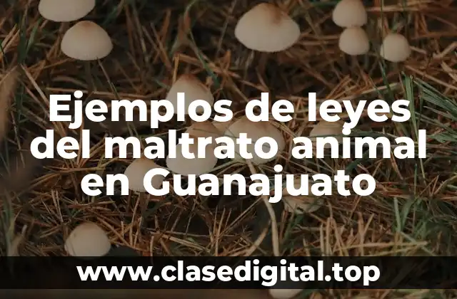 Ejemplos de leyes del maltrato animal en Guanajuato