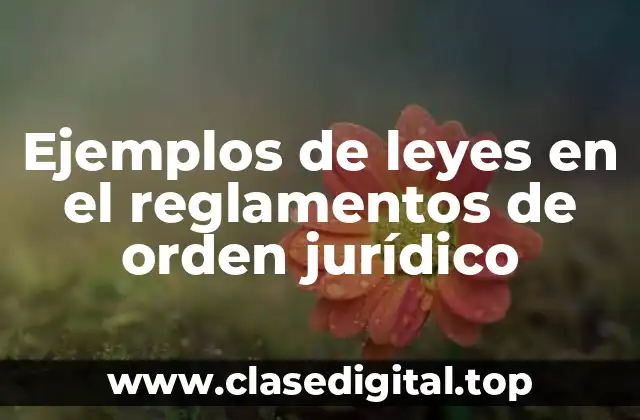 Ejemplos de leyes en el reglamentos de orden jurídico