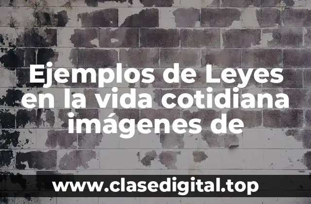 Ejemplos de Leyes en la vida cotidiana imágenes de