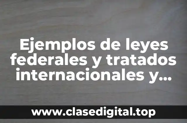 Ejemplos de leyes federales y tratados internacionales y Significado
