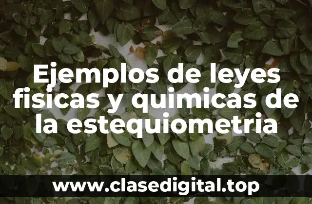 Ejemplos de leyes fisicas y quimicas de la estequiometria