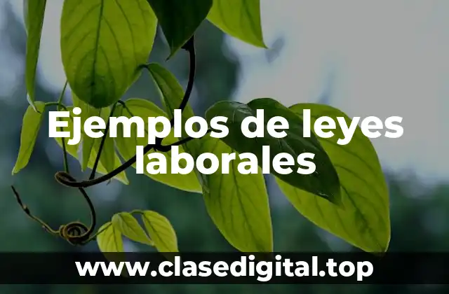 Ejemplos de leyes laborales