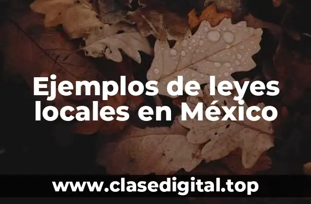 Ejemplos de leyes locales en México