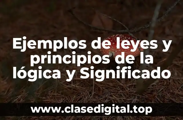 Ejemplos de leyes y principios de la lógica
