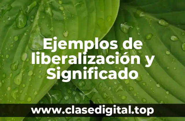 Ejemplos de liberalización y Significado