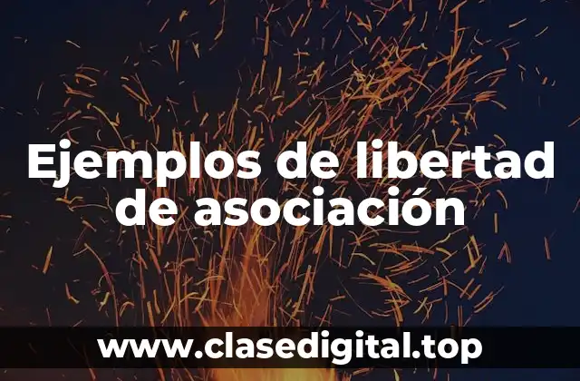 Ejemplos de libertad de asociación