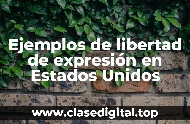 Ejemplos de libertad de expresión en Estados Unidos