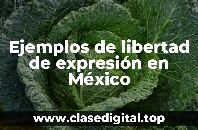 Ejemplos de libertad de expresión en México