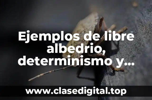 Ejemplos de libre albedrio, determinismo y condicionamiento