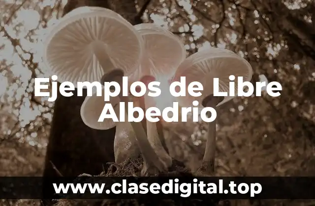 Ejemplos de Libre Albedrio