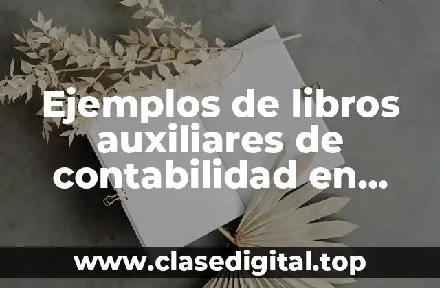 Ejemplos de libros auxiliares de contabilidad en Excel y Significado