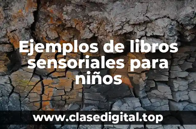 Ejemplos de libros sensoriales para niños