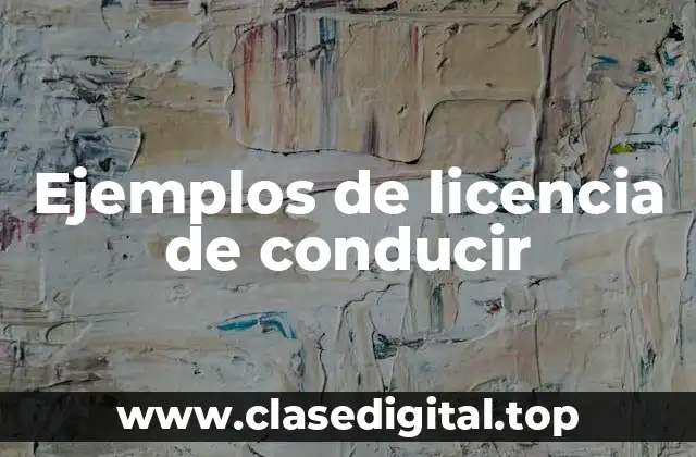 Ejemplos de licencia de conducir