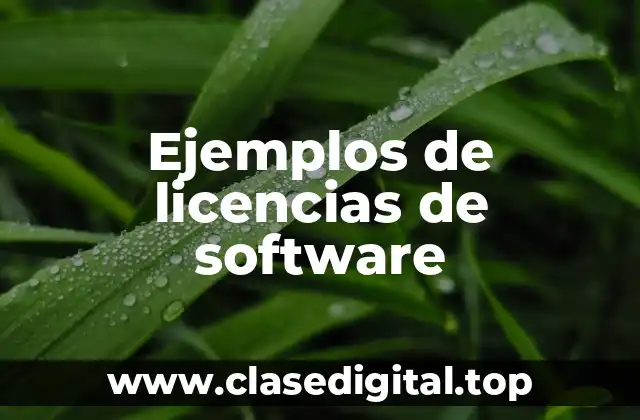Ejemplos de licencias de software