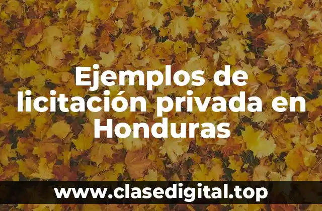 Ejemplos de licitación privada en Honduras