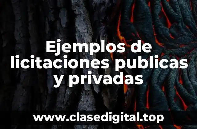 Ejemplos de licitaciones publicas y privadas