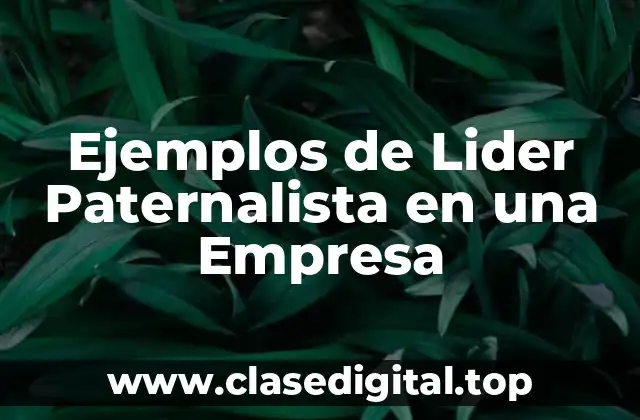 Ejemplos de Lider Paternalista en una Empresa