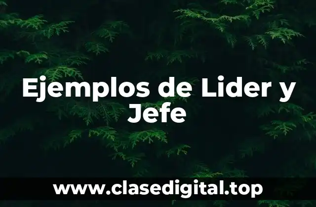 Ejemplos de Lider y Jefe