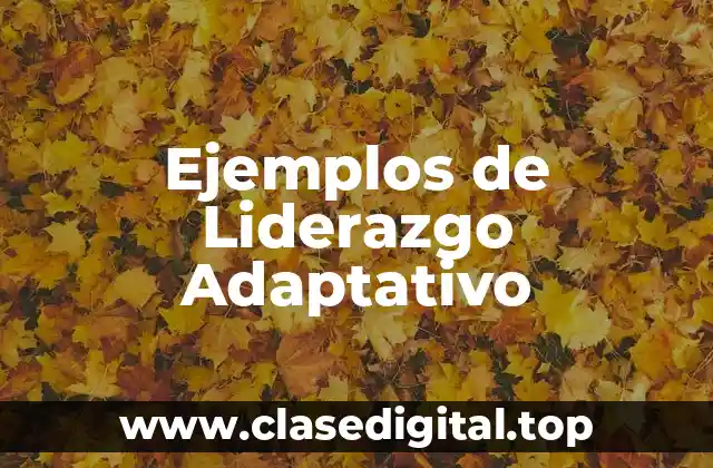 Ejemplos de Liderazgo Adaptativo