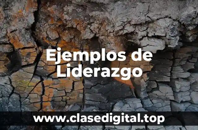 Ejemplos de Liderazgo