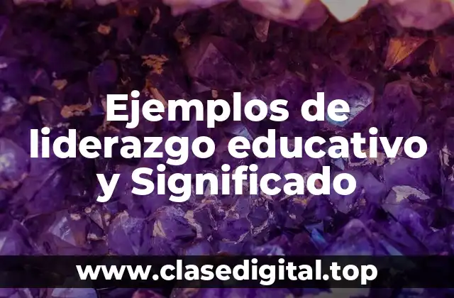 Ejemplos de liderazgo educativo y Significado