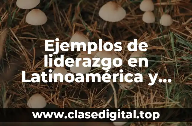 Ejemplos de liderazgo en Latinoamérica y Significado
