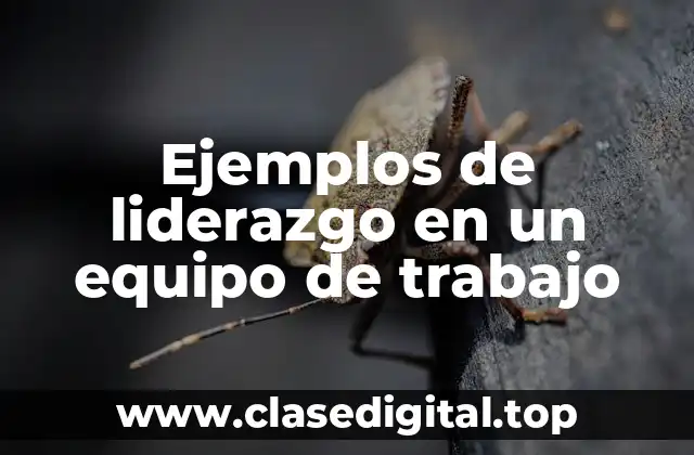 Ejemplos de liderazgo en un equipo de trabajo