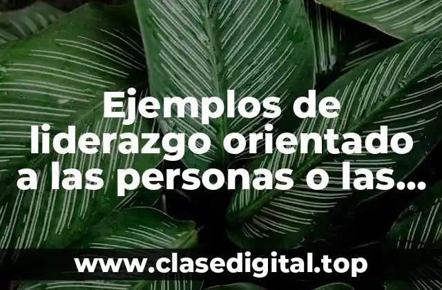 Ejemplos de liderazgo orientado a las personas o las relaciones