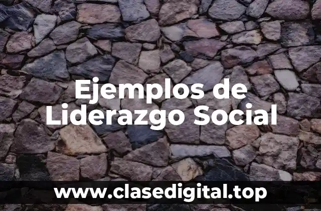 Ejemplos de Liderazgo Social